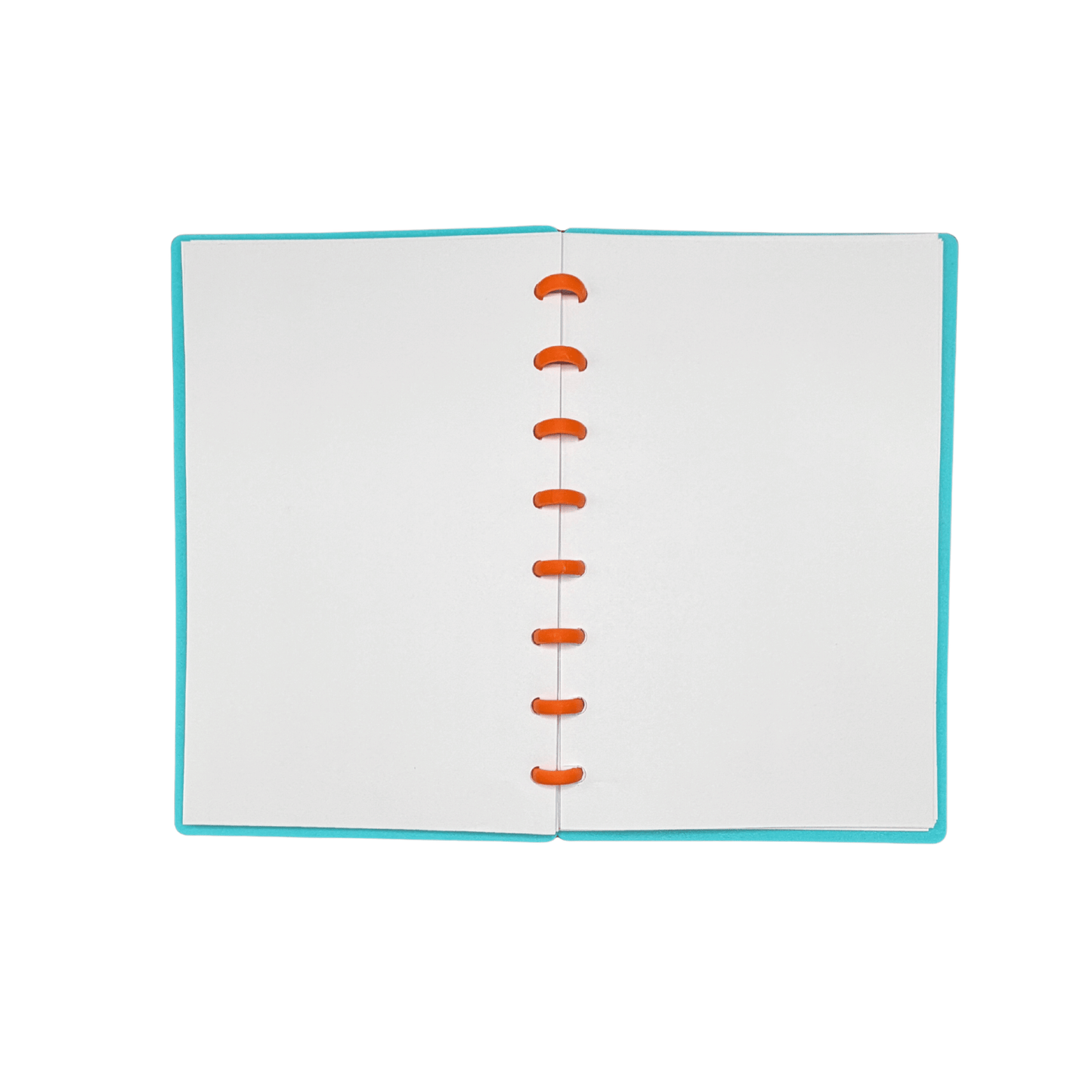 Pumpkins Notebook