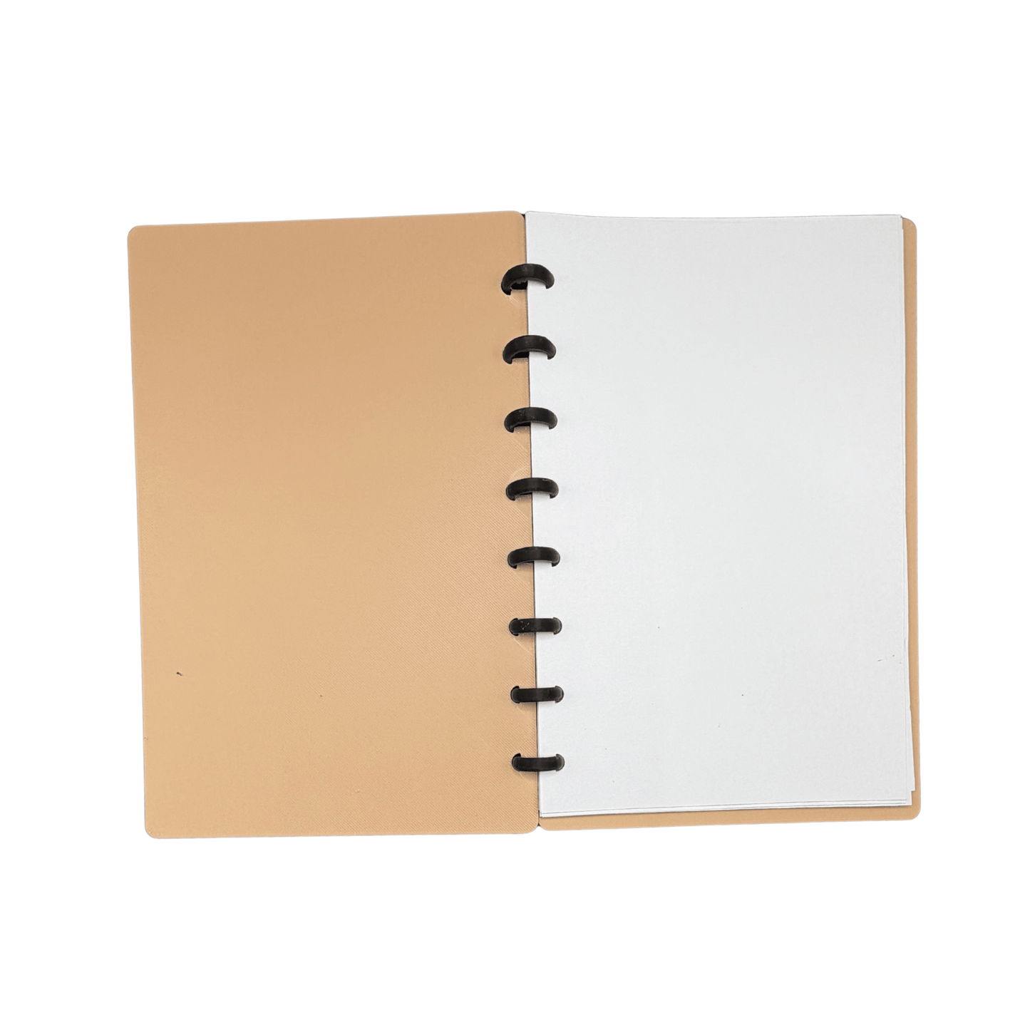 Leopard Ghost and Bat Notebook