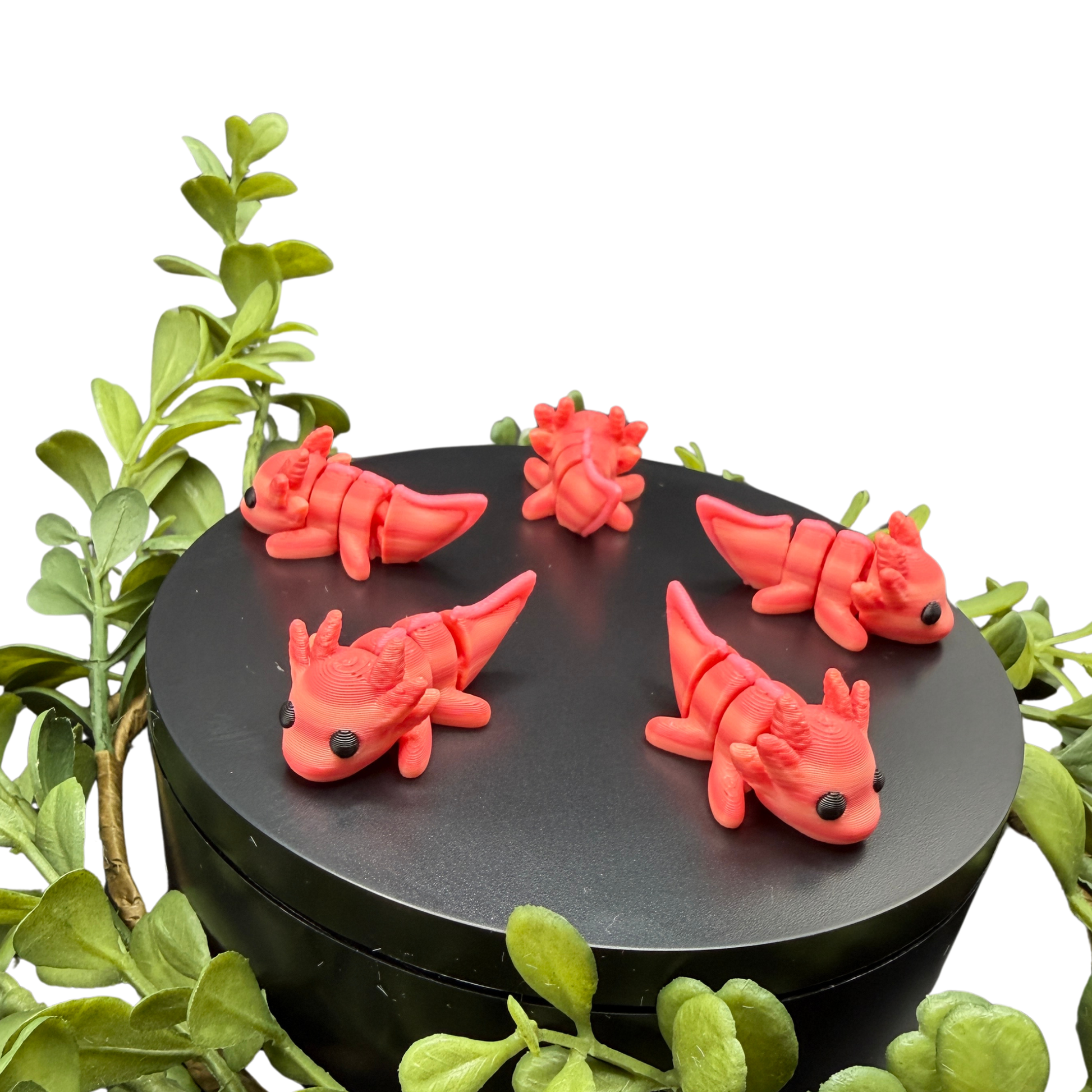cute axolotl fidget toy desk accessory small sensory toy
