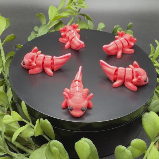 mini axolotl toy articulated flexible pocket fidget